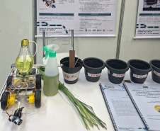 Alunos da rede estadual transformam ciência em soluções reais na Expo Umuarama