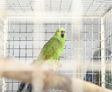 IAT reforça parceria com a Unicentro para atendimento à fauna silvestre 