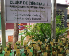 Alunos da rede estadual transformam ciência em soluções reais na Expo Umuarama