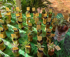 Alunos da rede estadual transformam ciência em soluções reais na Expo Umuarama