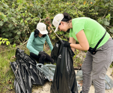 Mutirão da Portos do Paraná recolhe quase 200 kg de resíduos em manguezais