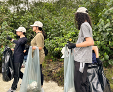 Mutirão da Portos do Paraná recolhe quase 200 kg de resíduos em manguezais