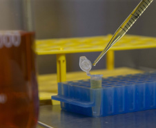 Novo fornecedor do SUS, Tecpar explica o caminho da vacina até o braço da população