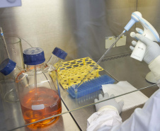 Novo fornecedor do SUS, Tecpar explica o caminho da vacina até o braço da população