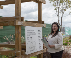 No Tecpar, mulheres inovadoras se destacam em projetos de tecnologia e saúde