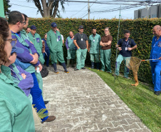 Adapar promove treinamento para controle de zoonoses em animais de produção