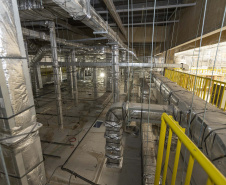 Com o Tecpar, Paraná será polo de produção de insumos para a saúde animal do Brasil