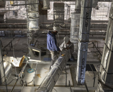 Com o Tecpar, Paraná será polo de produção de insumos para a saúde animal do Brasil