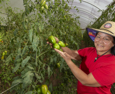 Liderança nacional do Paraná na produção de orgânicos tem certificação do Tecpar