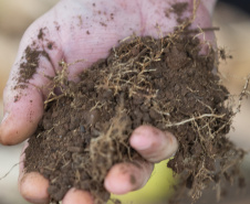 Tecpar inicia projeto inédito para estudar DNA do solo do Paraná