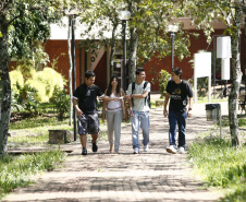 Polo de inovação da região Noroeste, UEM comemora 50 anos de reconhecimento federal