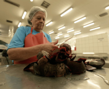 Pesquisa da UEM transforma cascas de beterraba em corante natural para balas de gelatina