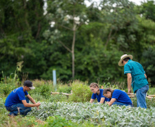 Programa que aproxima colégios agrícolas de universidades vai receber R$ 3,4 milhões