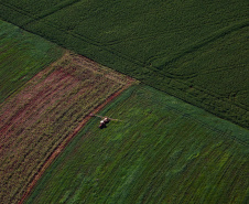 Webinar orienta empresas sobre como participar do programa Nexus de inovação no agro