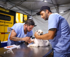 Para ampliar políticas públicas, Estado cria Superintendência-Geral de Proteção Animal