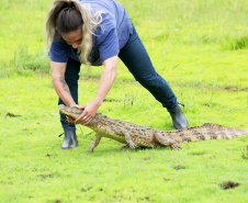 Para ampliar políticas públicas, Estado cria Superintendência-Geral de Proteção Animal