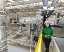 Tecpar inicia pesquisa para produção de insumos para diagnóstico da brucelose