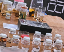 Universidades estaduais unem ensino e assistência para fortalecer toxicologia no Paraná