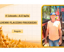 Concurso mostra que assistência técnica diminui perdas na colheita da soja