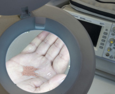 Startup incubada pelo Tecpar desenvolve tecnologia para aprimorar produção farmacêutica no país
