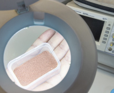 Startup incubada pelo Tecpar desenvolve tecnologia para aprimorar produção farmacêutica no país