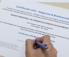 Conservação da biodiversidade: Tecpar certifica BRDE por práticas sustentáveis