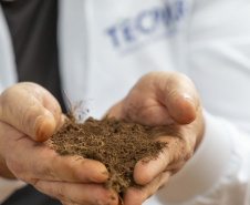Tecpar amplia estratégicas para abordagem que integra saúde humana, animal e ambiental
