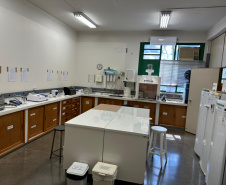Universidades estaduais unem ensino e assistência para fortalecer toxicologia no Paraná