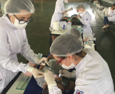Universidades estaduais ofertam atendimento odontológico gratuito para crianças e bebês