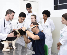 Universidades estaduais oferecem assistência a animais de pequeno e grande porte