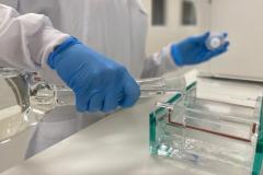 Rede Paranaense de Diagnóstico Molecular SARS-CoV-2