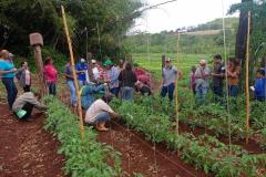 Para incentivar a produção agroecológica, IDR-Paraná investe na capacitação de produtores