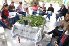Projeto da Unicentro incentiva uso de plantas medicinais para gerar renda a agricultoras