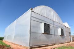 Com alta tecnologia, nova casa de vegetação da UENP expande ensino de agronomia