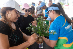 Veranistas aprendem a fazer vaso de plantas com fibra de coco em oficina no Verão Maior