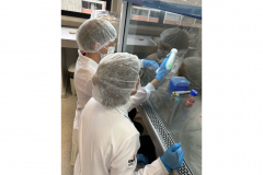 Projeto apoiado pela Fundação Araucária estuda alternativa para produção de colágeno de jumento