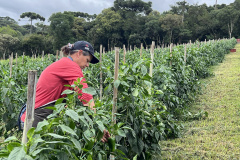 Jornada Empreendedora incentiva agricultura sustentável na região do Miringuava