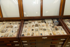Acervo histórico do Tecpar é incorporado pelo Museu de Ciências Naturais da UEPG