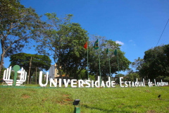 Após 10 anos, UEL lança concurso com 102 vagas para professor; salário é de R$ 17 mil