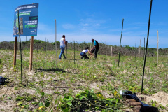 IAT estabelece parceria com a UFPR Litoral para projeto de conservação da restinga