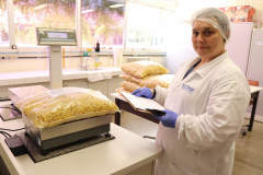 Alimentação escolar: controle rigoroso garante cardápios nutritivos e saudáveis no Paraná