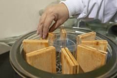 Tecpar e UFPR compartilham laboratório para estudos na área florestal e madeireira