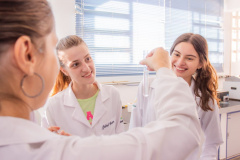 Paraná incentiva pesquisa com bolsas que cobrem trajetória acadêmica e profissional