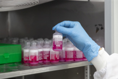 Parceria entre Tecpar e UFPR fortalece processo de produção de vacina antirrábica veterinária