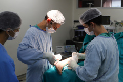 HU-UEL faz cirurgia inédita com biovidro e impulsiona inovação universitária na ortopedia