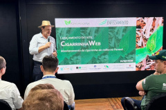 Lançada no Show Rural, plataforma monitora cigarrinha-do-milho nas lavouras do Paraná