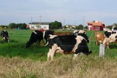 CV 9607 - Implantação do Núcleo de Agroecologia. 