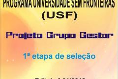 USF - Projeto Grupo Gestor