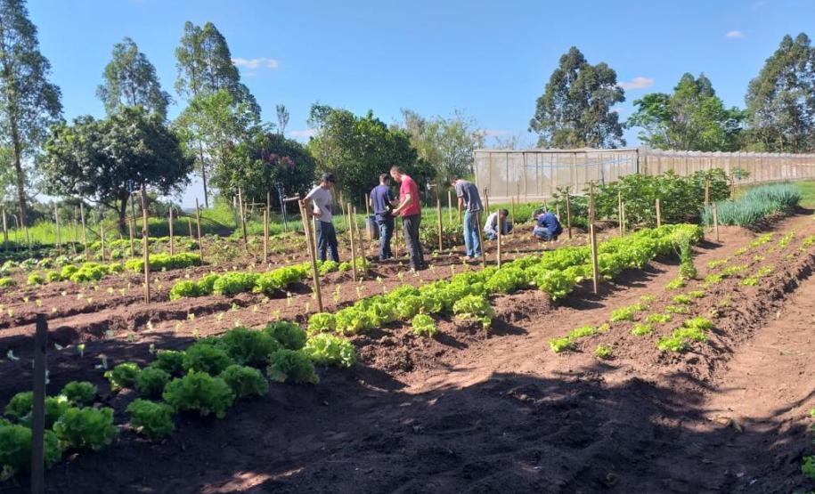 Projeto de Capacitação em Horticultura da UEM