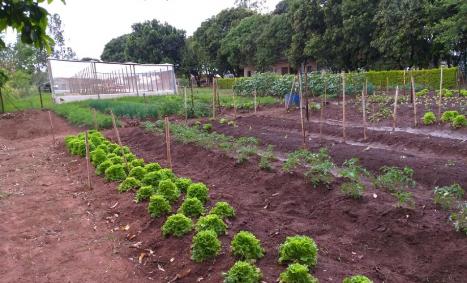 Projeto de Capacitação em Horticultura da UEM